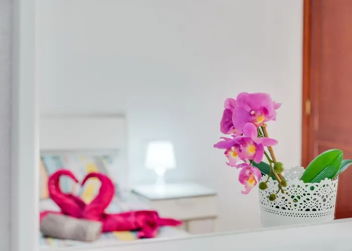 Tenerife2 - Piso Dos Cruz Centro