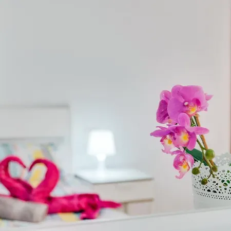 Tenerife2 - Piso Dos Cruz Centro